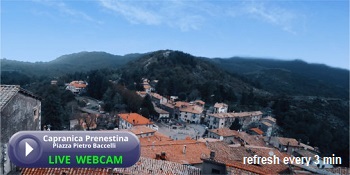webcam view